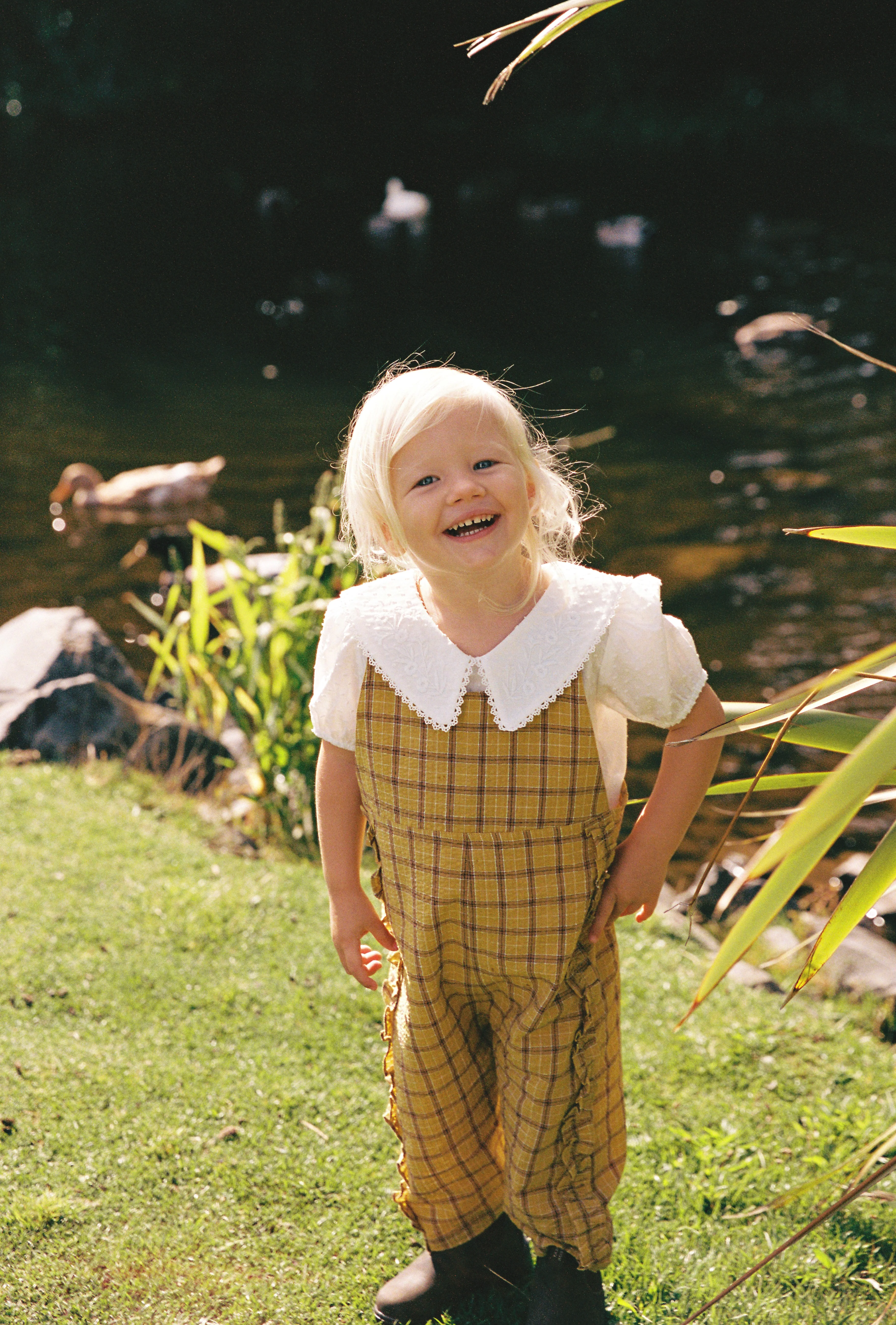 Remi Overall - Mustard - Image 5