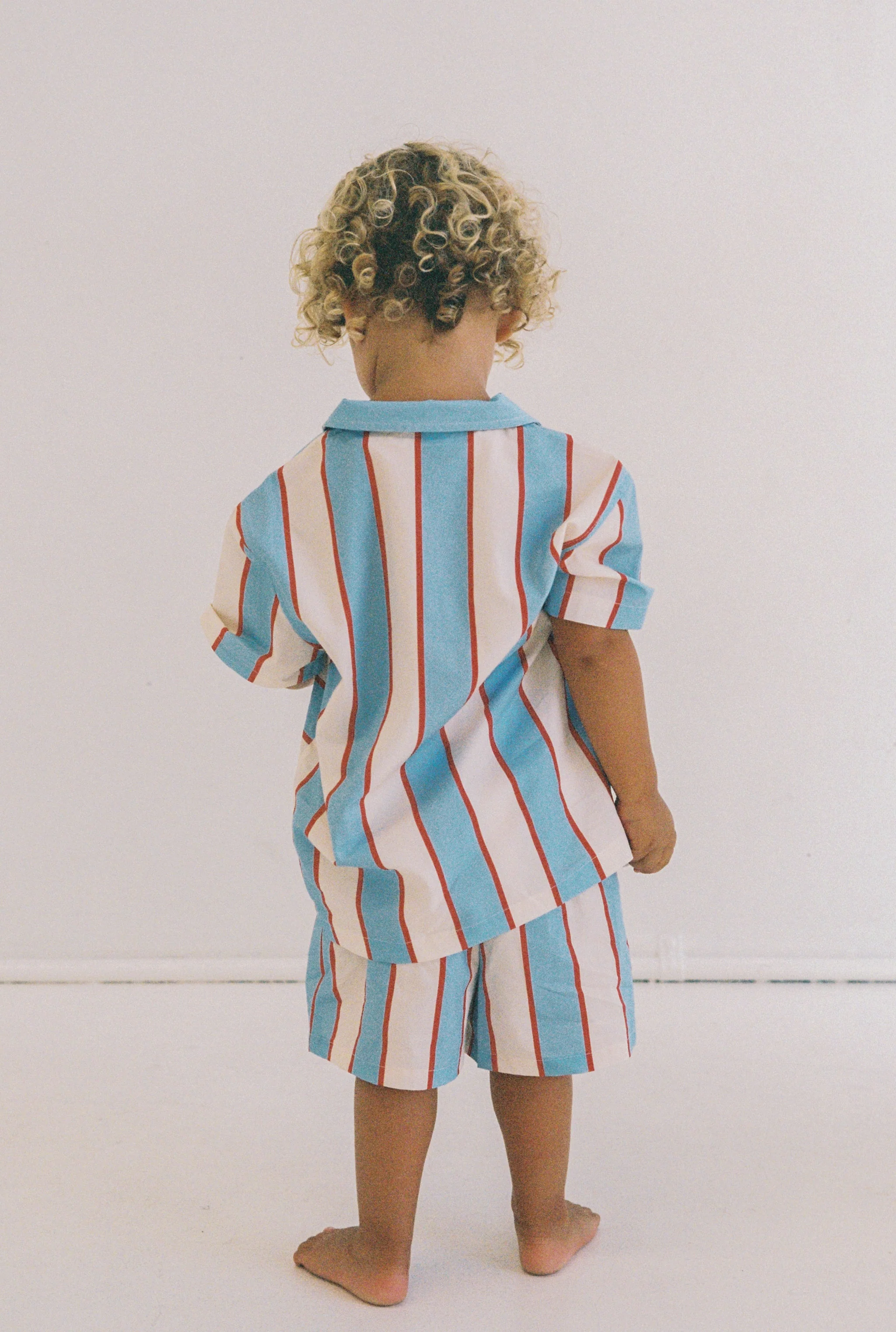 Tommy Shirt - Holiday Stripe - Image 4