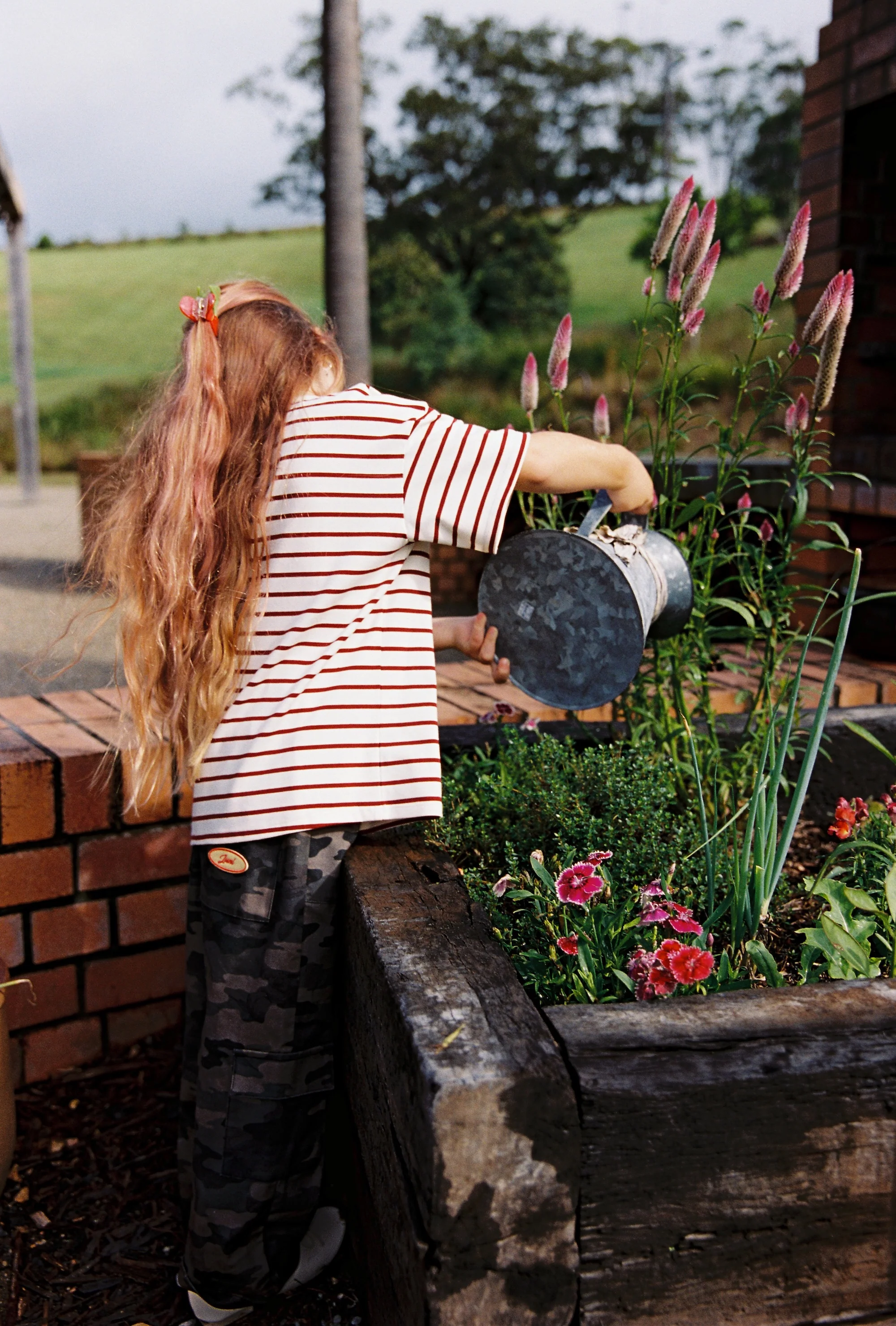Zion Tee - Chilli Stripe - Image 4
